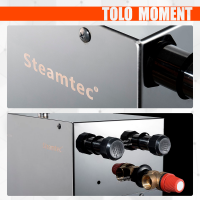 Парогенератор Steamtec TOLO MOMENT 240 - 24 кВт