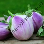 Баклажан "КРУГЛЫЙ БЕЛО-РОЗОВЫЙ" (Rotonda bianca sfumata di rosa) 10 семян