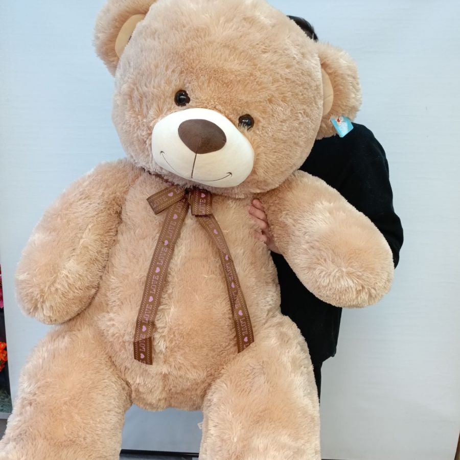 Коричневый медведь №2