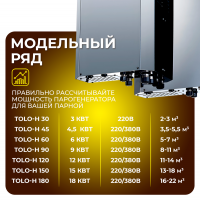 Парогенератор Steamtec TOLO Н 30 - 3 Квт, 220В, вертикальный