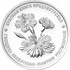 Гвоздика изменчивая  1 рубль Приднестровье (ПМР) 2025