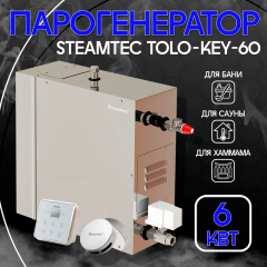 Парогенератор Steamtec TOLO KEY 60 - 6 кВт