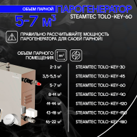 Парогенератор Steamtec TOLO KEY 60 - 6 кВт