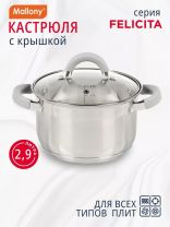 Кастрюля нержавеющая сталь, 2.9 л, крышка стекло, силиконовые ручки, Mallony, Felicit_, 009387, индукция