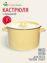 Кастрюля эмалированная сталь, 7 л, крышка сталь, СтальЭмаль, 2с18, в ассортименте, индукция