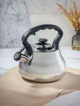 Чайник нержавеющая сталь, 2.8 л, со свистком, зеркальный, нейлон, Daniks, индукция, GS-04052A