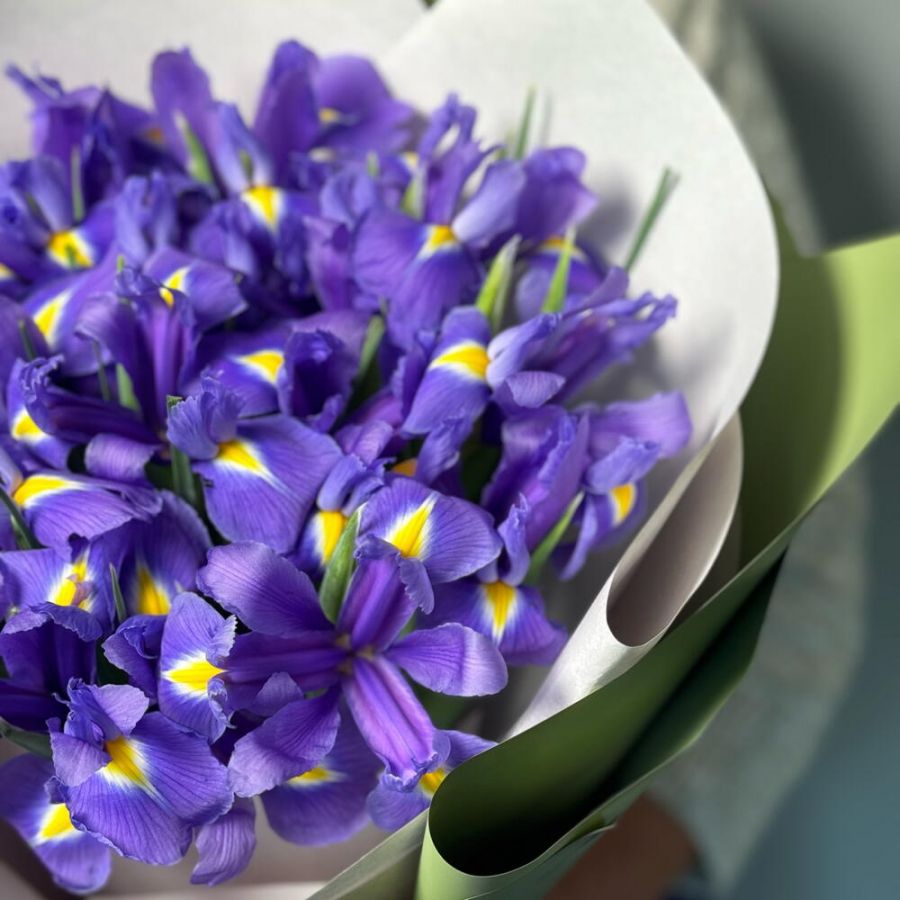 Букет Ирисов