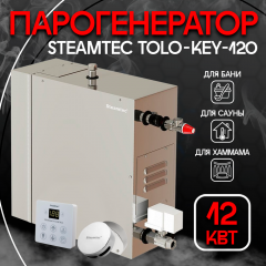 Парогенератор Steamtec TOLO KEY 120 - 12 кВт бюджетная серия
