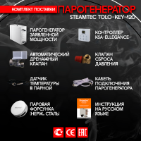 Парогенератор Steamtec TOLO KEY 120 - 12 кВт бюджетная серия