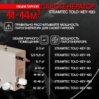 Парогенератор Steamtec TOLO KEY 120 - 12 кВт бюджетная серия