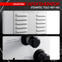 Парогенератор Steamtec TOLO KEY 120 - 12 кВт бюджетная серия