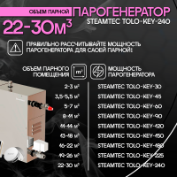 Парогенератор Steamtec TOLO KEY 240 - 24 кВт бюджетная серия