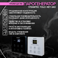 Парогенератор Steamtec TOLO KEY 240 - 24 кВт бюджетная серия