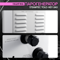 Парогенератор Steamtec TOLO KEY 240 - 24 кВт бюджетная серия