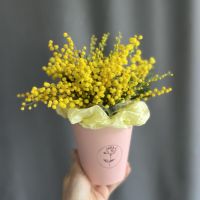 Цветы в коробке: мимоза 