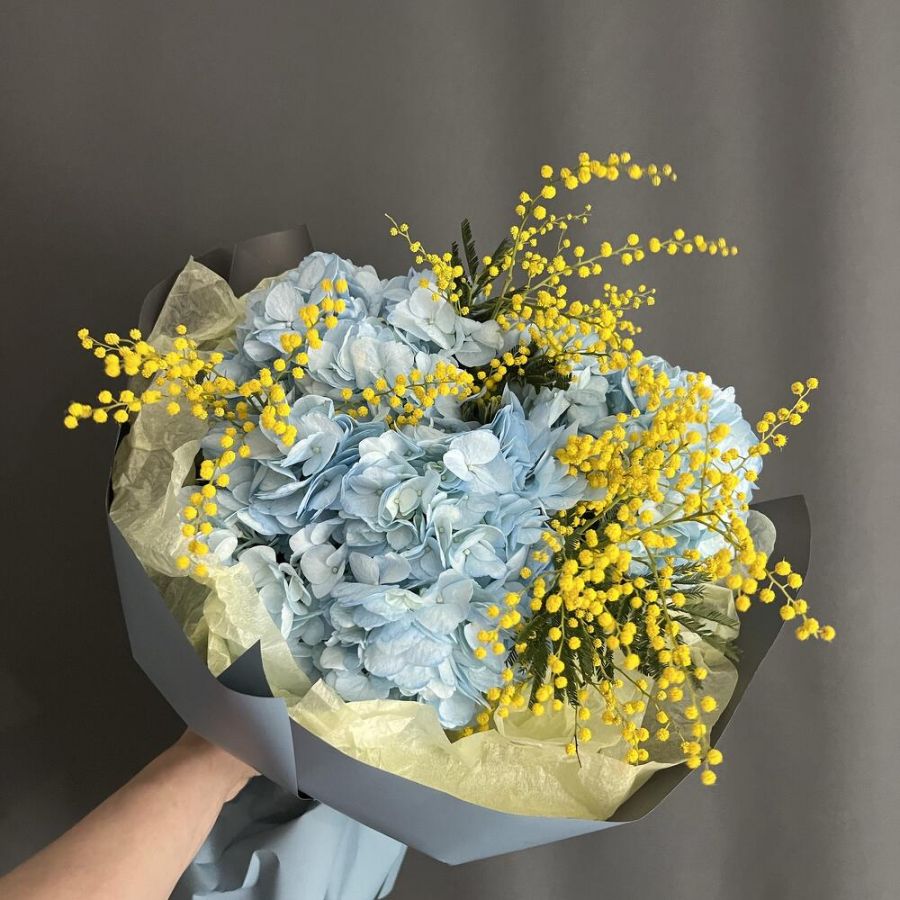 Мимоза и гортензия «Мороз и солнце»