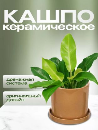 Горшок керамика, 21.5х21 см, для цветов, латте, Лидер №1, 4083