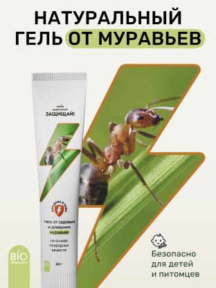 Инсектицид от муравьев, гель, 50 г, туба, Защищай!