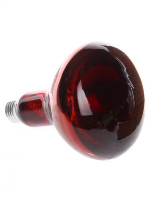 Лампочка накаливания E27, 250 Вт, 220 В, теплоизлучатель, красная, Калашниково