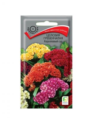Семена Цветы, Целозия, Коралловый сад, 0.1 г, гребенчатая, цветная упаковка, Поиск