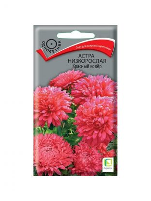 Семена Цветы, Астра, Красный ковер, 0.2 г, низкорослая, цветная упаковка, Поиск