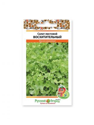 Семена Салат листовой, Восхитительный, Вкуснятина, цветная упаковка, Русский огород