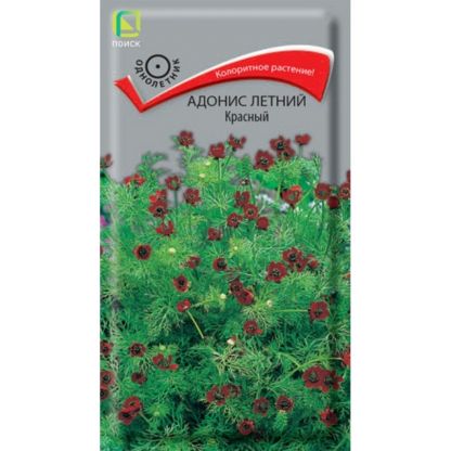 Семена Цветы, Адонис, Красный, 0.3 г, летние, цветная упаковка, Поиск