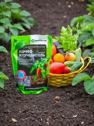 Удобрение Биогумат, почвоулучшитель, порошок, 500 г, БиоМастер