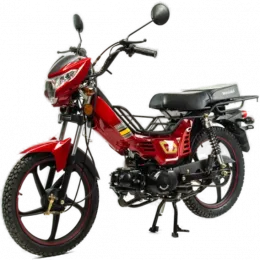 Delta Zodiak 110 см³