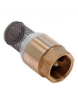Клапан обратный 1 1/4'', г-г, с сеткой, AquaLink