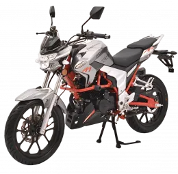 Regulmoto Raptor New 250