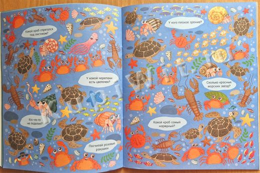 Океаны и моря - красивые картинки