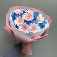 Букет "Барби" из розовых гербер с синими хризантемами