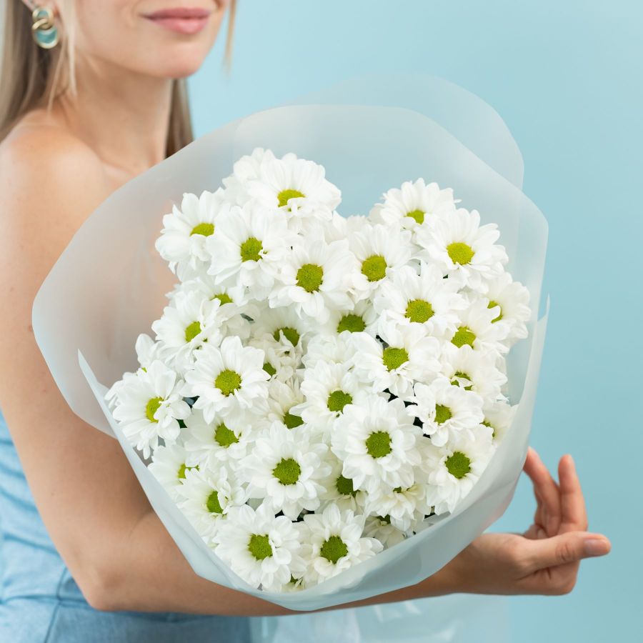 Хризантема (сорт Бакарди) от 5 шт