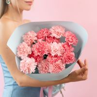 Диантусы розовые от 15 шт