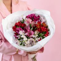 Альстромерия в упаковке с тишью от 7 шт