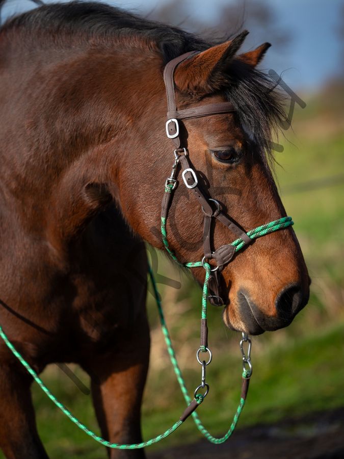 Сайд-пулл и бестрензельная уздечка Barefoot Syringa VegiTex с поводом