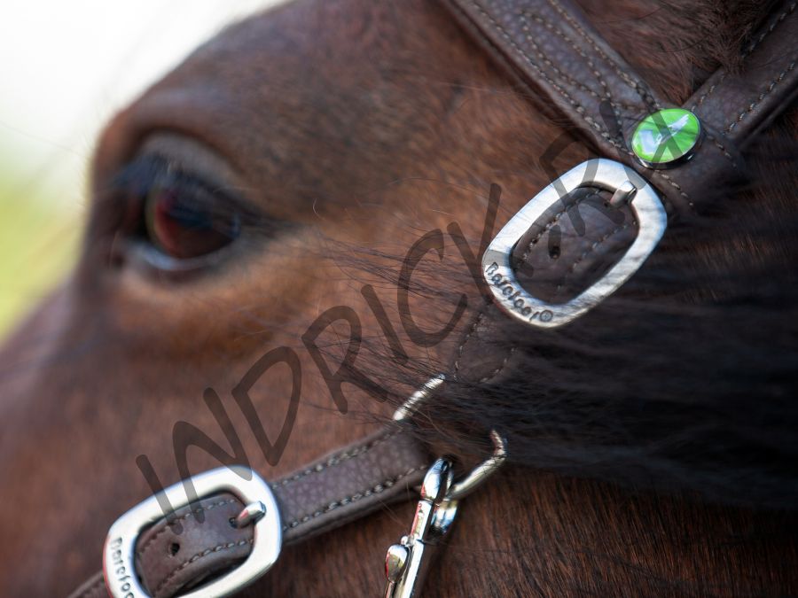 Сайд-пулл и бестрензельная уздечка Barefoot Syringa VegiTex с поводом