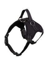 Шлейка для собак, для груди, Рыжий кот, 52-63 см