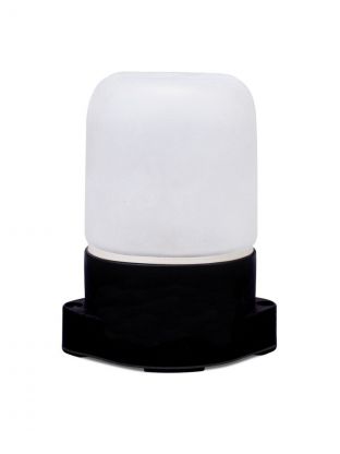 Светильник для бани, General Lighting Systems, GCF-SNP-60-E27-IP65-W,4377, 60 Вт, E27, на 1 лампочку, IP65, НПБ-400, КСС-001, 230В, пластик, черный, 437785