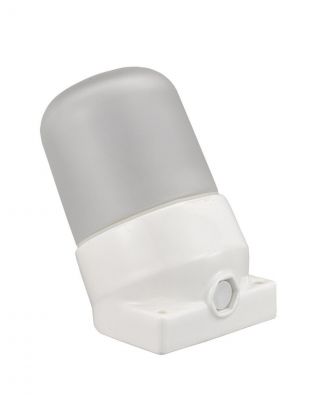 Светильник для бани, General Lighting Systems, GCF-SNC-60-E27-IP65-W,437768, 60 Вт, E27, на 1 лампочку, IP65, НПБ400-1, наклонный, керамика, белый, 437768
