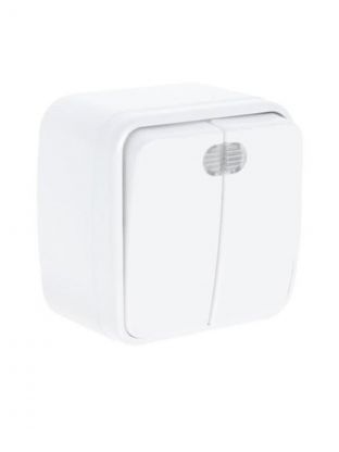 Выключатель открытой установки, двухклавишный, без заземления, 10 А, подсветка, IP20, белый, TDM Electric, Дача, SQ1824-0004