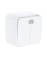 Выключатель открытой установки, двухклавишный, без заземления, 10 А, подсветка, IP20, белый, TDM Electric, Дача, SQ1824-0004