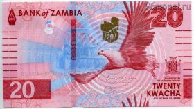 Замбия 20 квач 2024