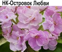 НК-Островок Любви