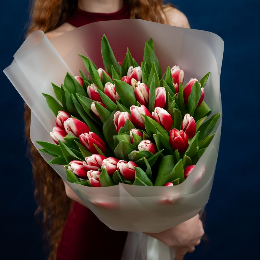 Тюльпаны красно-белые 35шт