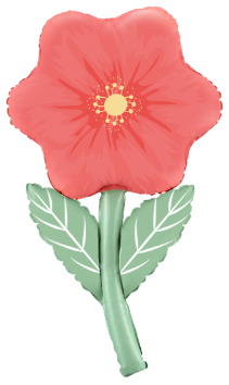 Анемон шар фигурный фольгированный с гелием