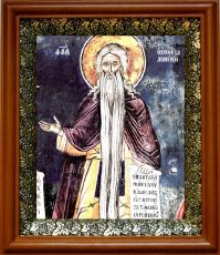 Икона Давид Солунский в киоте с басмой Виноградная Лоза (UV-печать)(30282)