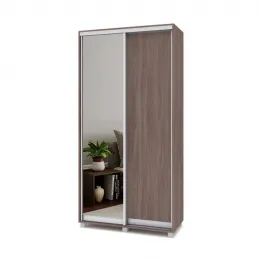 Роланд Р412 Шкаф-купе 2-х дв. с 1 зерк. (ш1100*г450*в2200мм) Ясень шимо темный