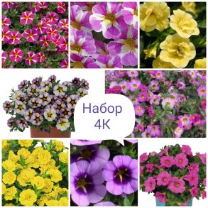 Набор 4К (калибрахоа)